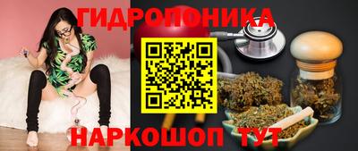 шишки Нарткала