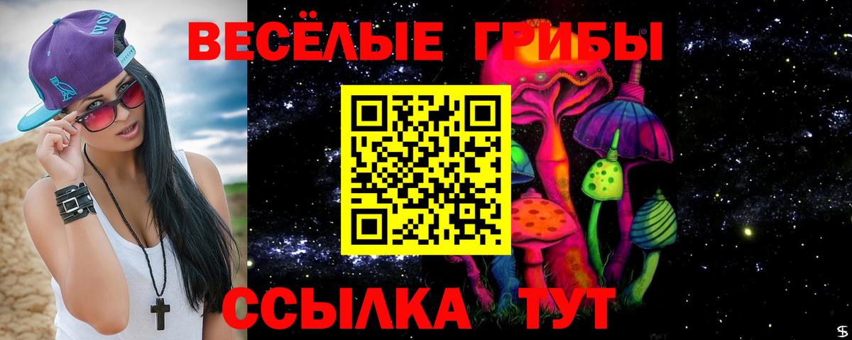 Галлюциногенные грибы GOLDEN TEACHER Электрогорск