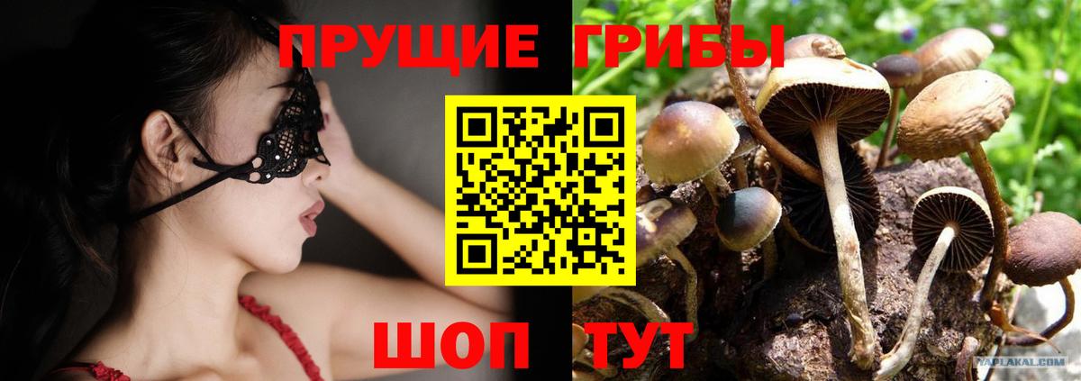 Псилоцибиновые грибы мицелий  Псилоцибиновые грибы ЛСД  Вход с VPN  Электрогорск 
